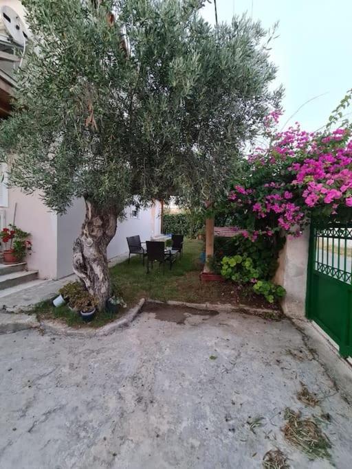 Semelia'S Guest House Spata  Ngoại thất bức ảnh